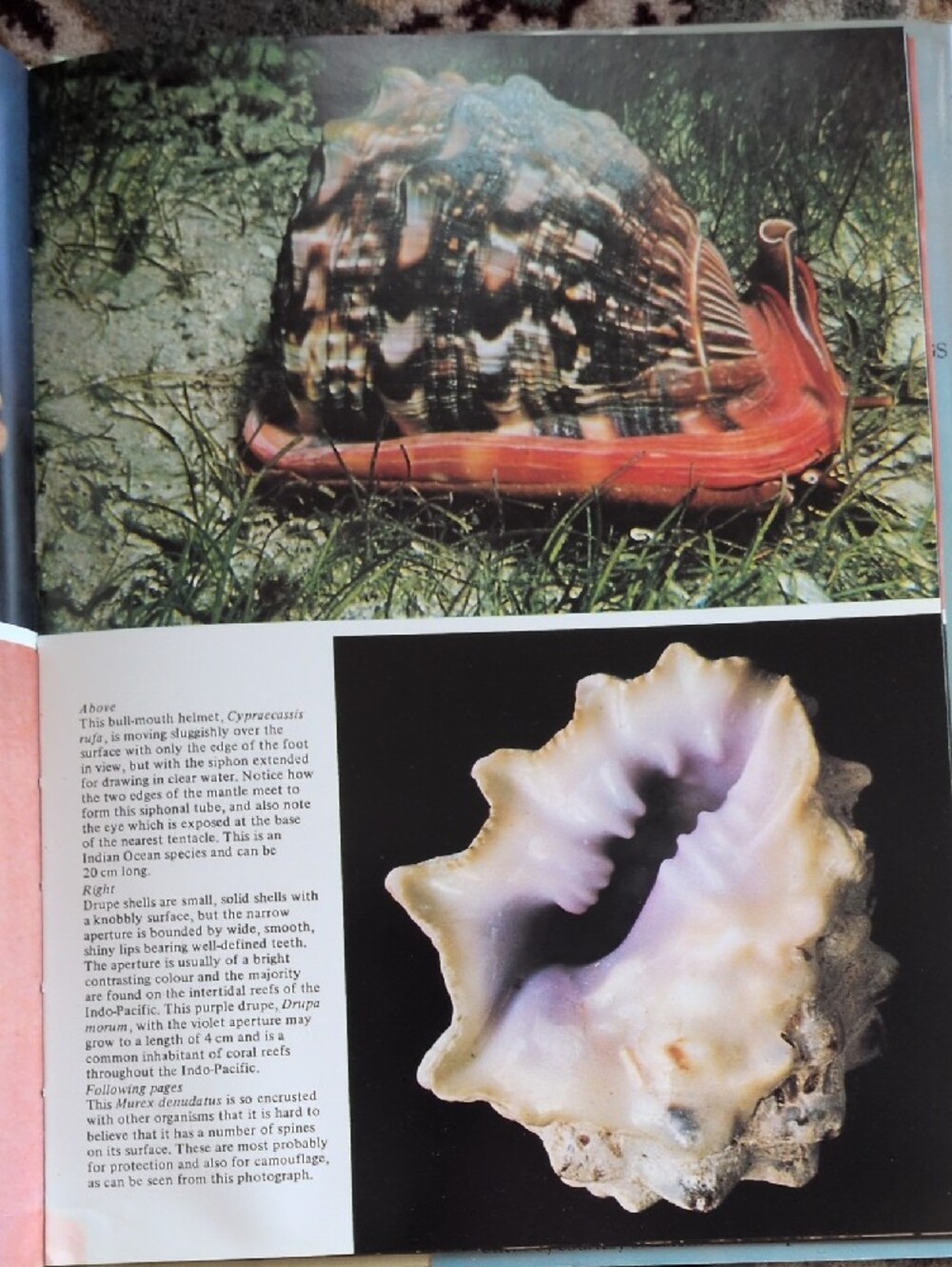 Assorted Art Books - Picture 8 of 8